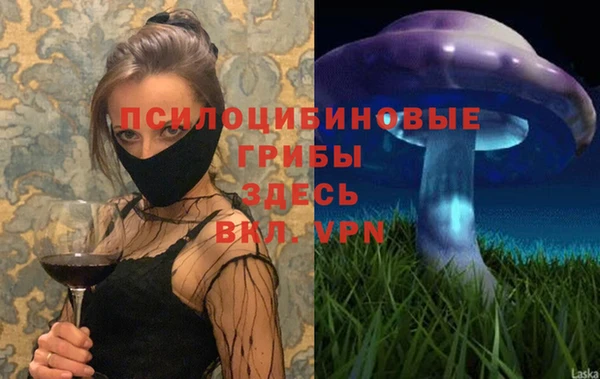 метамфетамин Алексин