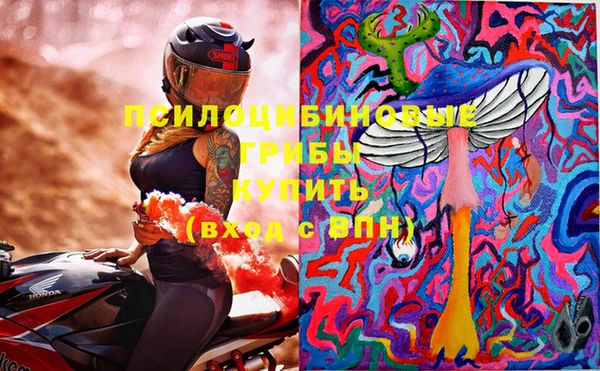 винт Алексеевка