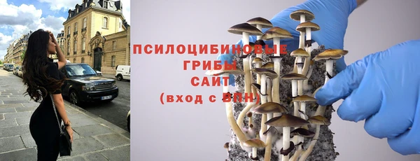 винт Алексеевка