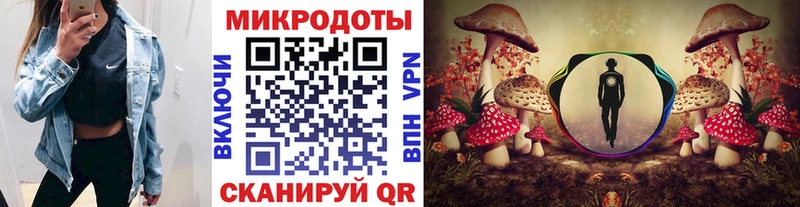 Галлюциногенные грибы Magic Shrooms  даркнет наркотические препараты  Анапа  KRAKEN как войти 